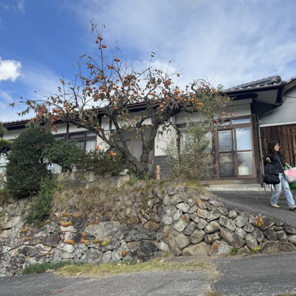 IMG 7094